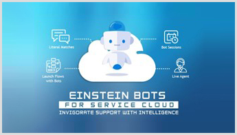 einstein bots